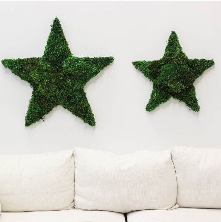 Moss Hollywood Star
