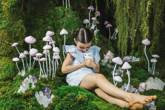 Biophilic Design Principles to Transform Your Space