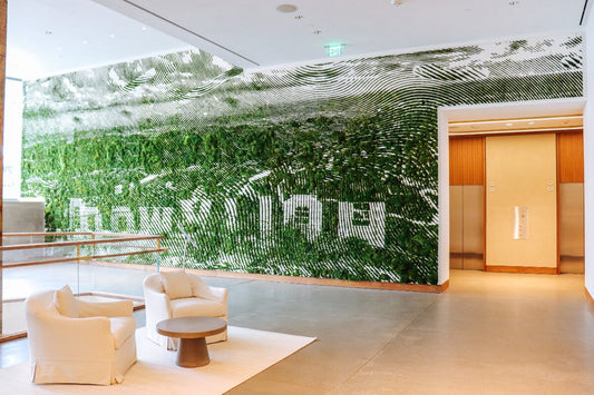 Moss Walls: what you need to know
