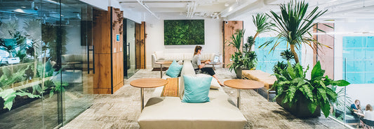 Indoor Plants for High End Home Decor