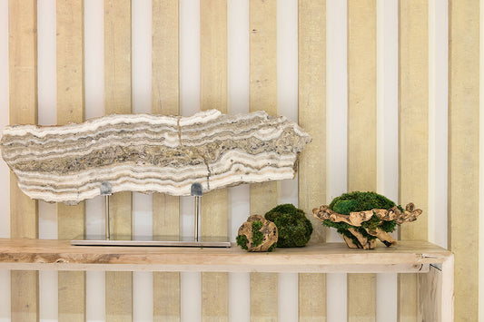 Moss Centerpieces: Unique Arrangements Made With Preserved Moss