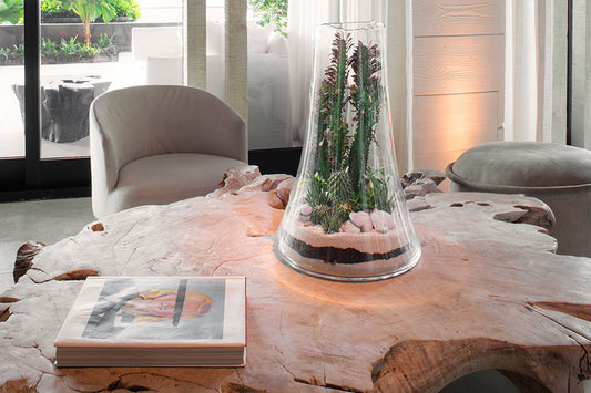 Open Terrariums Created by a Miami Artist