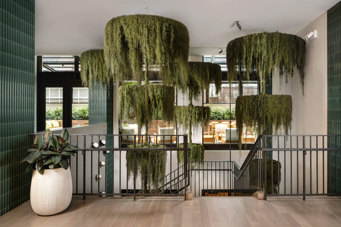 4-Ways-Biophilic-Designs-Inspire-Happier-Lifestyles PLANT THE FUTURE