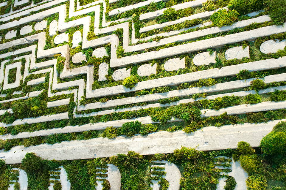 Living Plant Art for Indoor Spaces