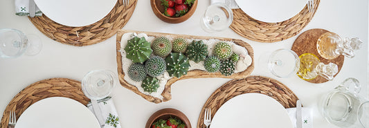 Simple-ways-to-design-a-biophilic-home PLANT THE FUTURE