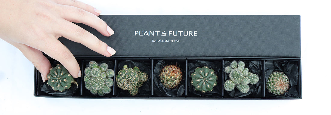 4 Original Gift Ideas for the Plants Lover