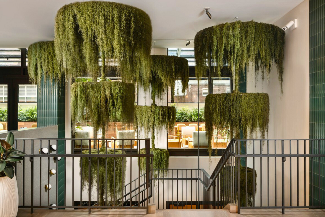 moss wall art 