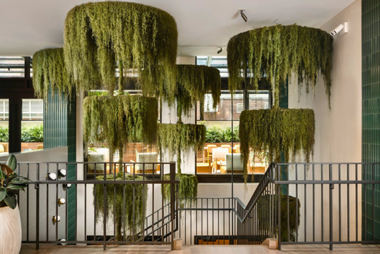 moss wall art 