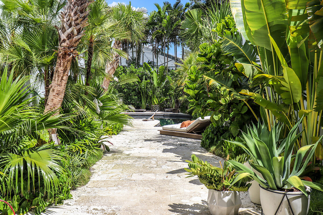 Eco-Friendly design tips for landscape design