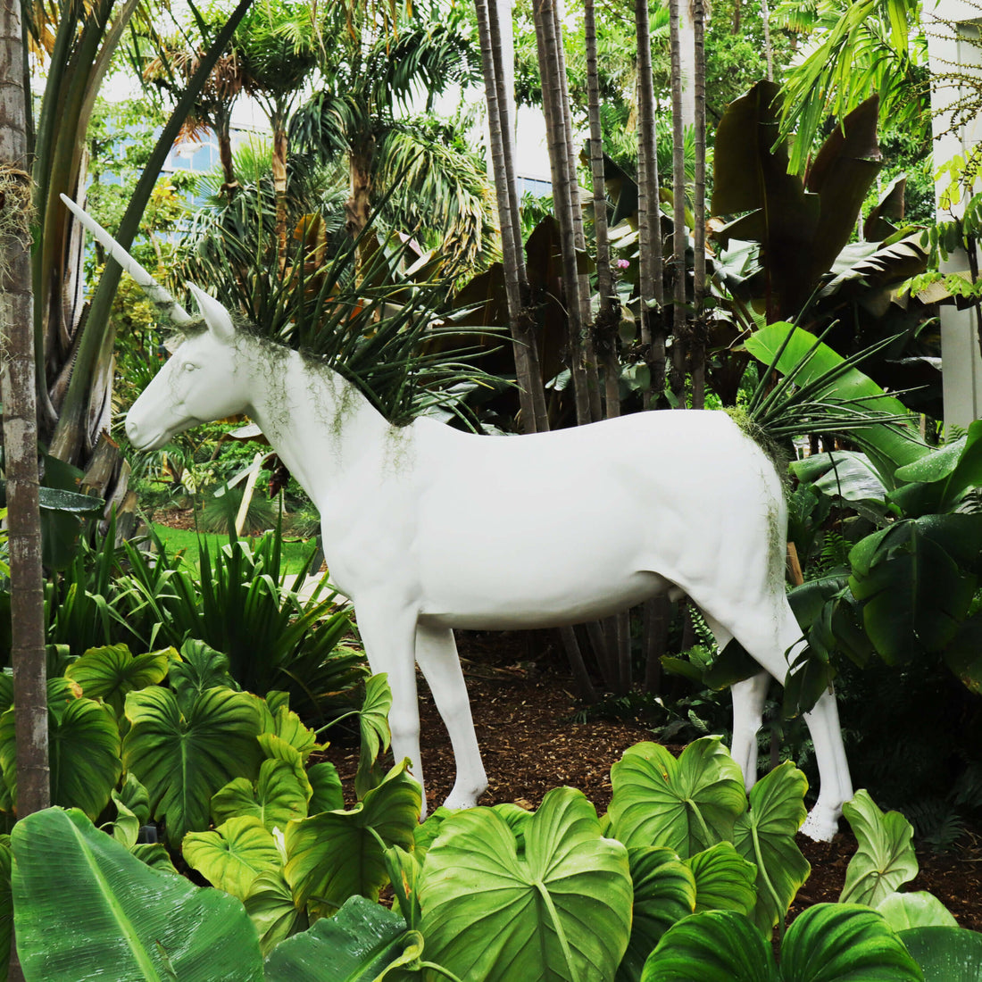 Biophilia vs. Biomimicry: how are they different?