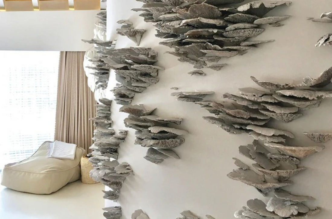 Mushroom Murals in Miami