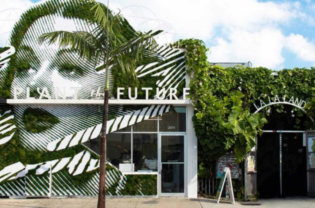 Plant Boutique in Miami