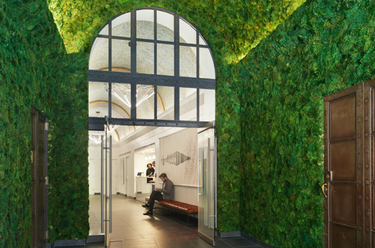 Revolutionizing Spaces with Sustainable Moss Design in Architecture