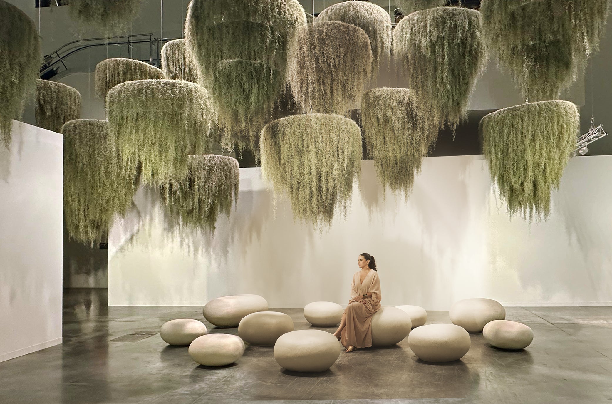 The-Spanish-Moss-Sanctuary PLANT THE FUTURE