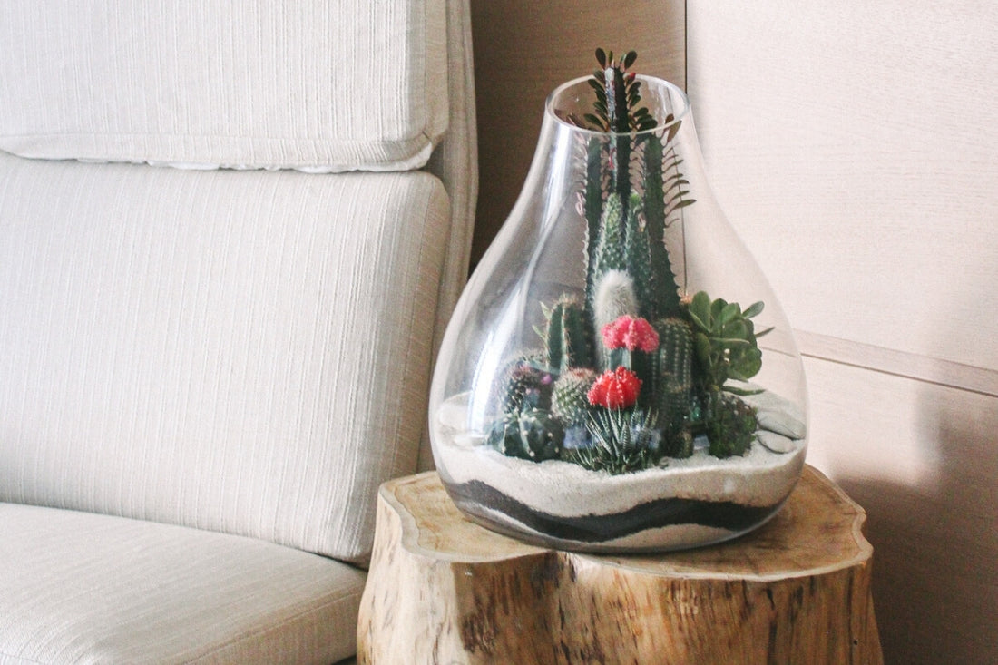 How light affects your plants