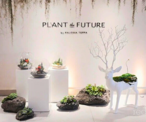 WORLDREDEYE - Plant The Future