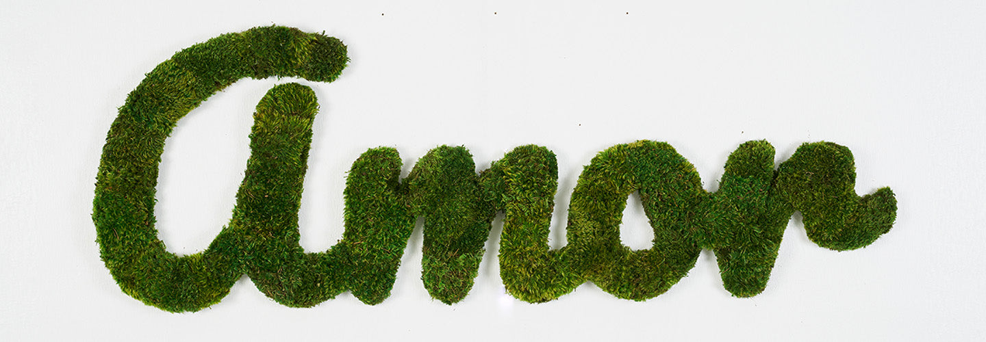 Custom Moss Lettering for your Home or Office – PLANT THE FUTURE