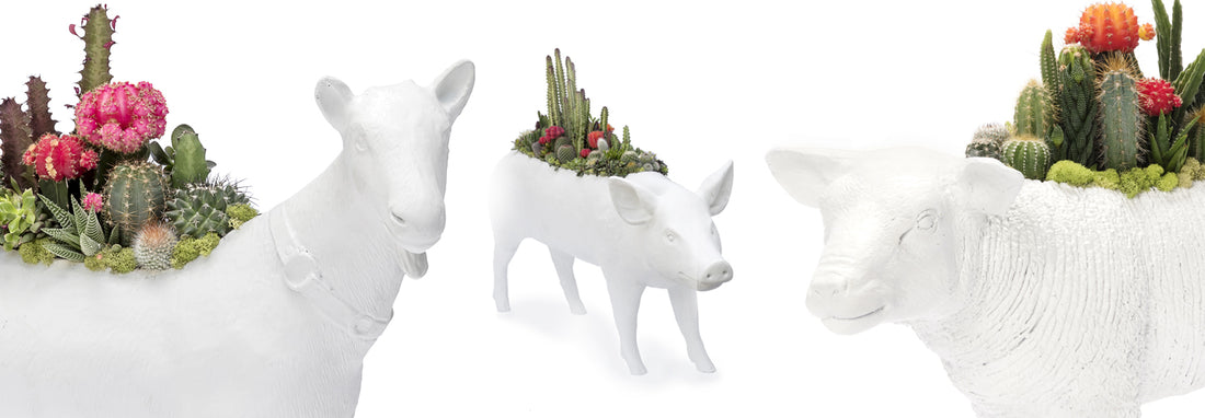 Mini Animal Sculpture Garden: Bring the Positivity of Nature into Your Home