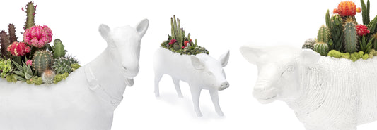 Mini Animal Sculpture Garden: Bring the Positivity of Nature into Your Home