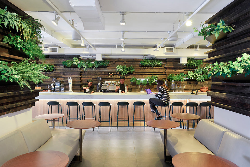 Moss Wall for Restaurants and Hotels: Designing With Nature in Mind