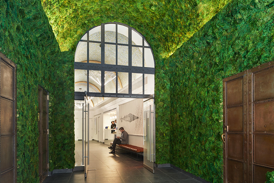 Biophilia in Landscape and Interior Scape Design