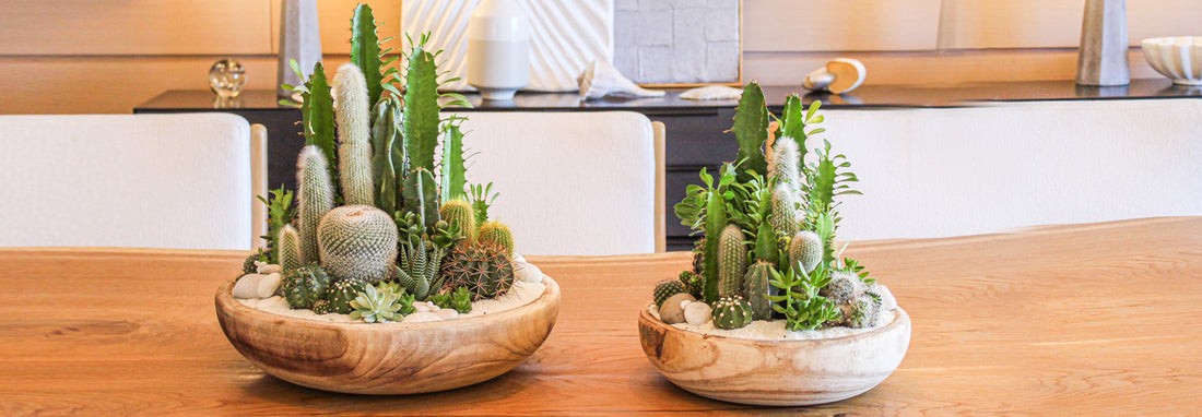 Health-Benefits-of-Having-Plants-in-Your-Home PLANT THE FUTURE