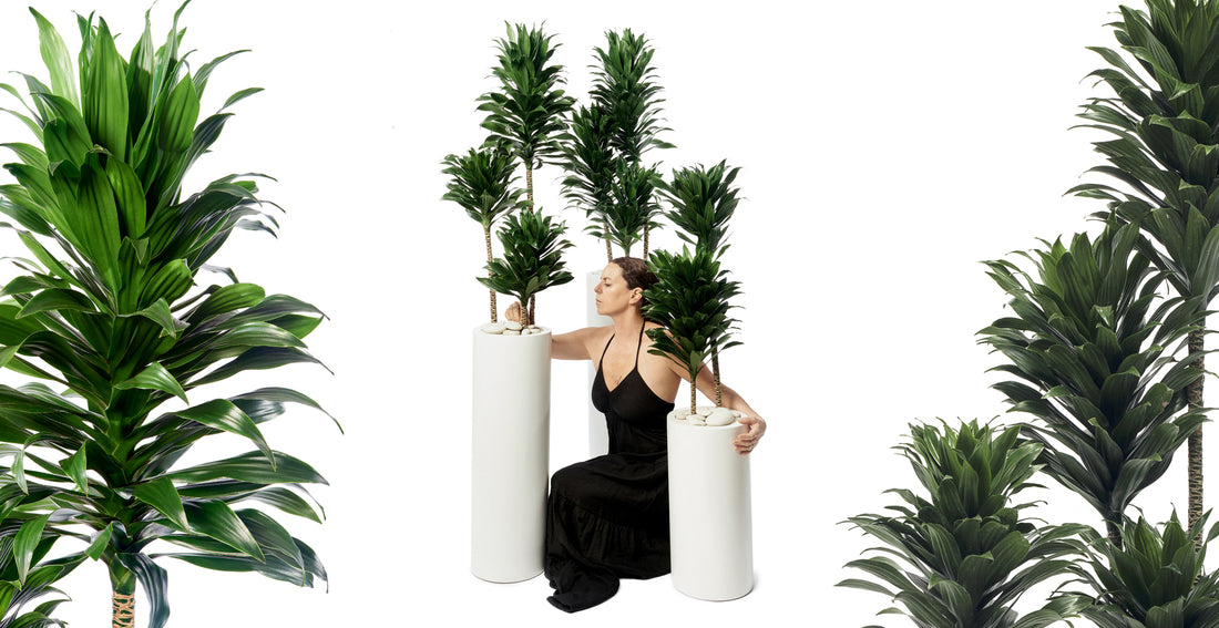 Janet-Craig-Natural-Elegance-for-Your-Space PLANT THE FUTURE