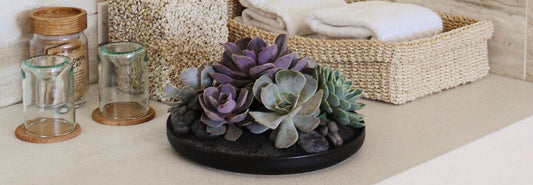 3 Shower Plants That Will Transform Your Master Bathroom