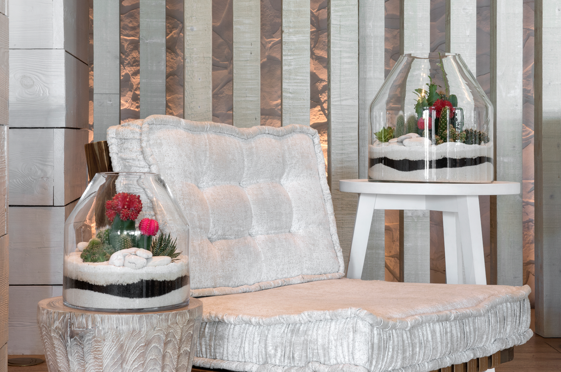 4 Large Terrariums That Make the Perfect Centerpiece