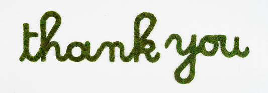 Custom Moss Letters in Cursive and Block Letters