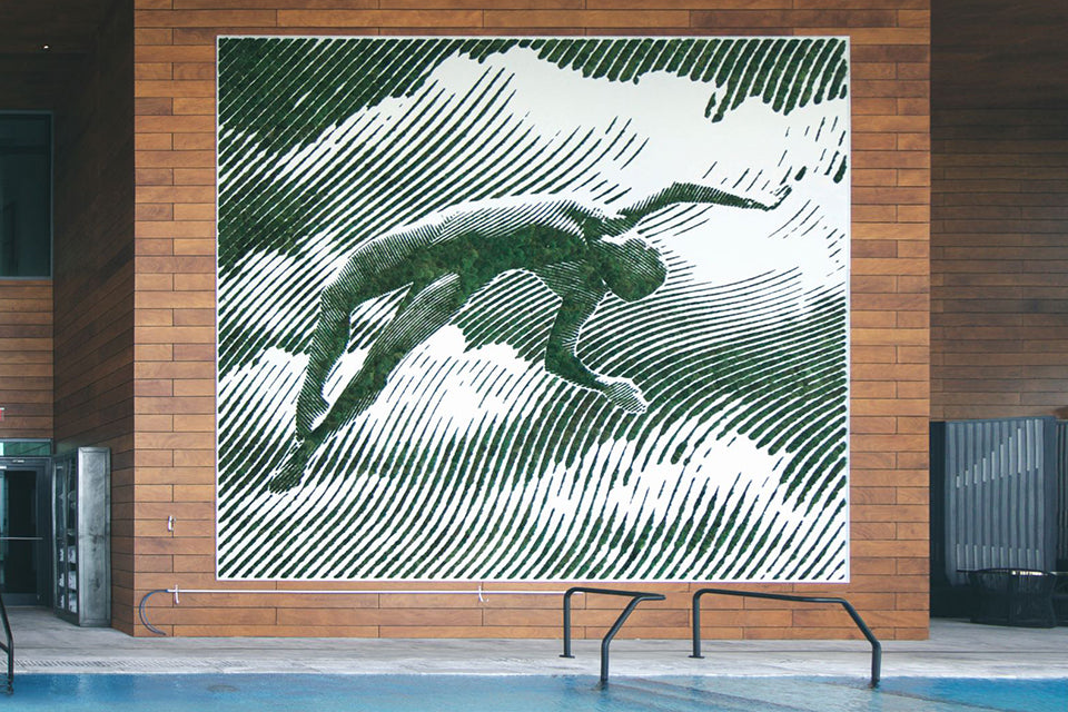 Custom Moss Art for Miami Hotels and Private Residences