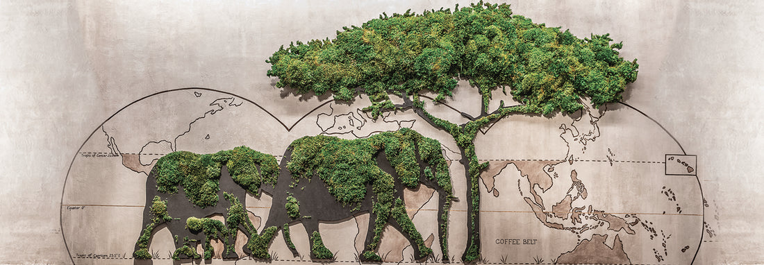 Greenery Wall Decor: Interiorscape Inspiration