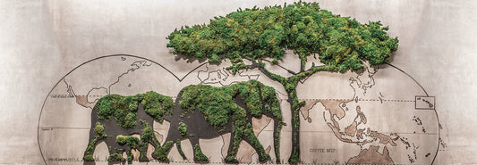 Greenery Wall Decor: Interiorscape Inspiration