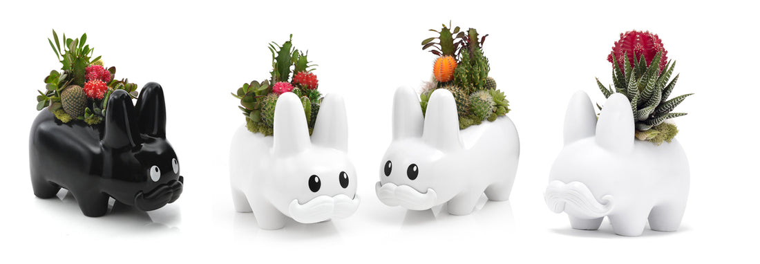 Unique Planters for Houseplants: Home Decor Inspiration