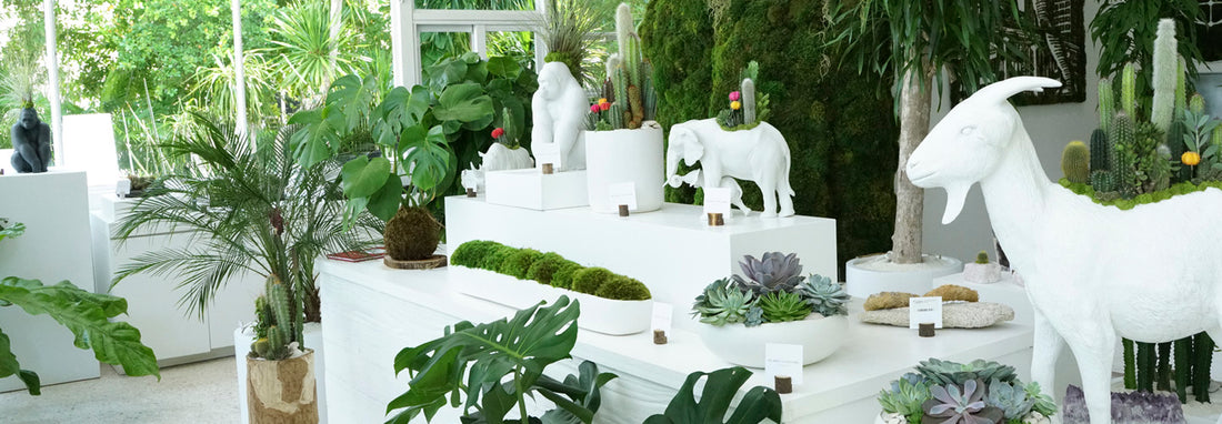 How to Create an Urban Jungle in Your City Apartment