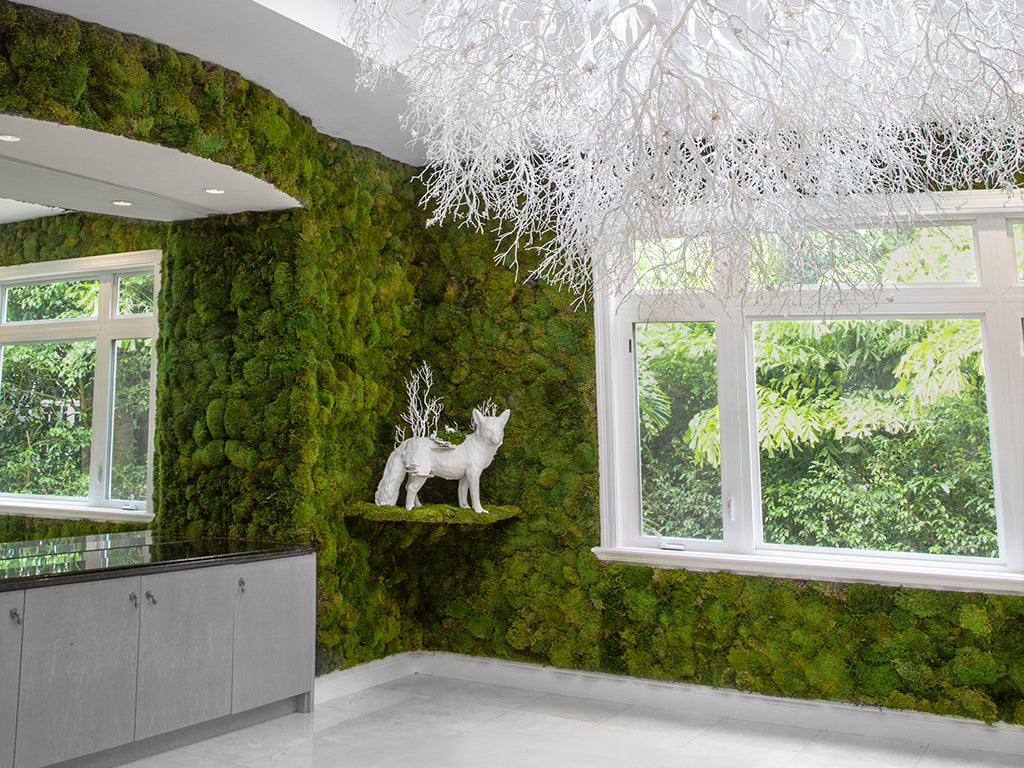 Moss Art for Your Home or Office