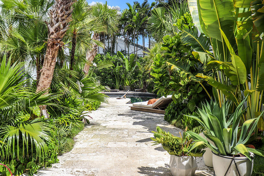 The Best Tropical Plants For Landscape Design