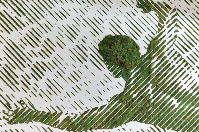 The-Benefits-Of-Moss-Wall-Art-Decor PLANT THE FUTURE