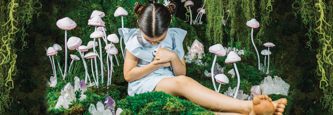 Creative ideas to introduce biophilia into your home