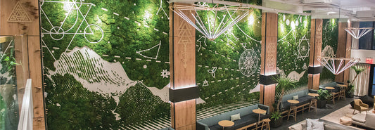 Interior Landscaping Ideas for Modern Office Spaces