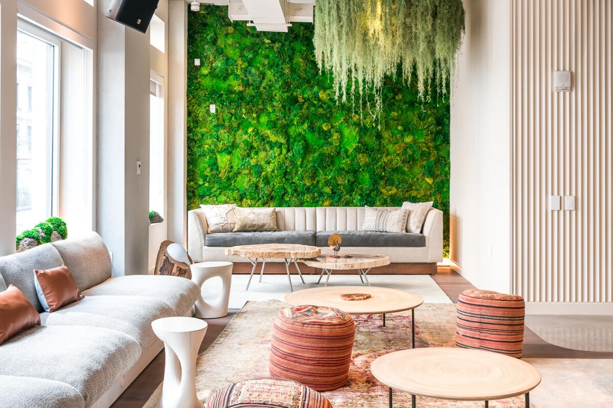 Moss Walls vs. Living Walls PLANT THE FUTURE