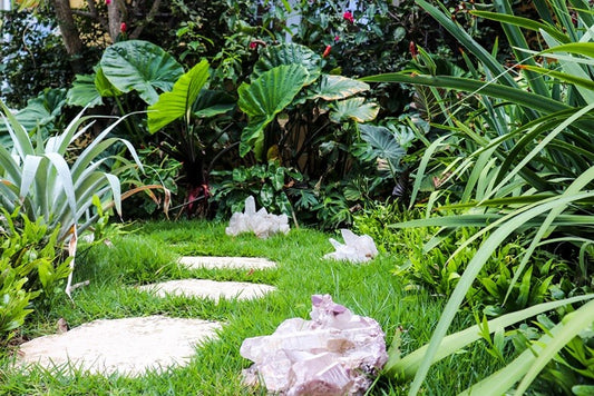 Holistic Decor Tips for Your Home and Office