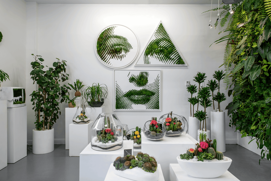 Indoor Gardening for Beginners: 5 Tips for Inevitable Success