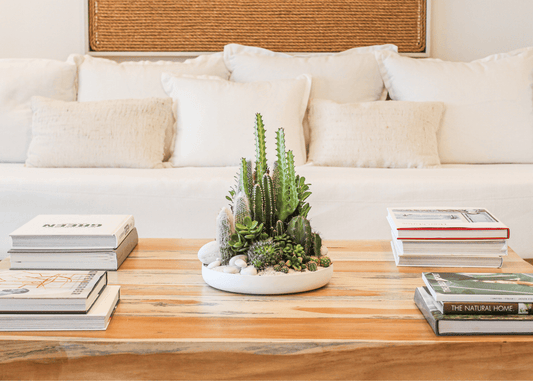 Low-maintenance plants for your vertical garden