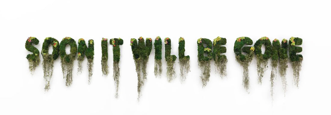 Interior Moss Art That Will Make Your Office Decor Unforgettable