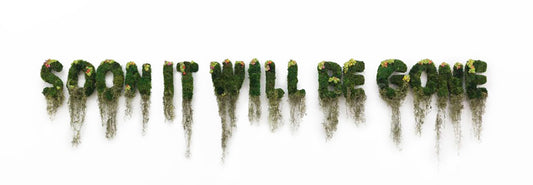Interior Moss Art That Will Make Your Office Decor Unforgettable