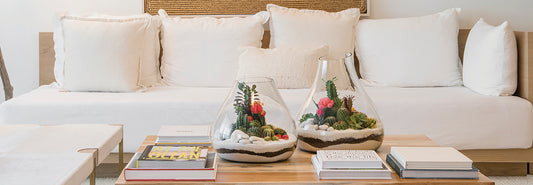 Terrariums for Hotels, Spas and Restaurants