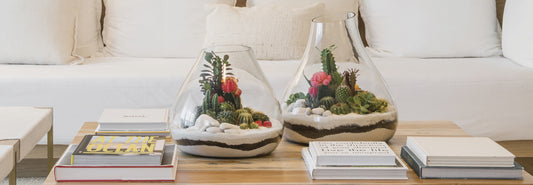 Large Succulent Terrariums: the Perfect Focal Point in a Room’s Décor