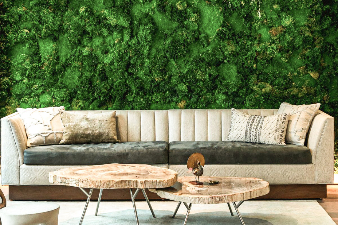How to care for your vertical garden