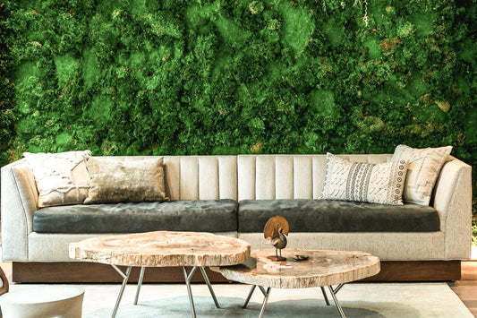 How to care for your vertical garden